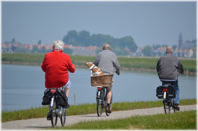 Active Living Critical Happy Healthy Retirement